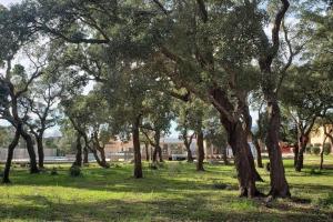 Villa di Caju - 4-6 personnes - les Hameaux de Saint Cyprien - lecci