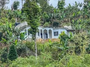 O- T on the rise - Glasgow