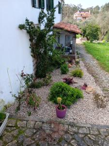 DOMAINE de la QUINTA FENIX- Quarto Olivia