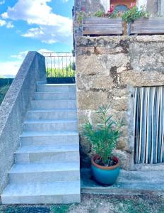 Premier étage dune maison de campagne avec jardin