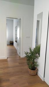 Apartamento Esmeralda