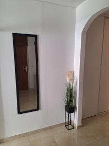 Apartment Pešić