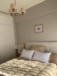 Ubicación inmejorable. Confort y seguridad. Apto mascotas