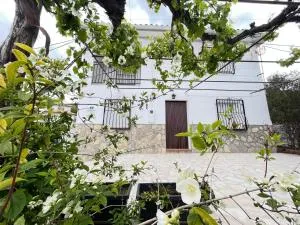 El Olivar de la Solana - El Batán