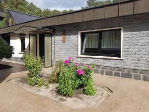 Ferienwohnung GRÜNBLICK - Heidesee