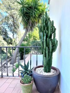 Algarve country villa near Loulé, stunning views