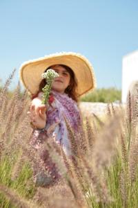 Olives Rocks Naxian Villas