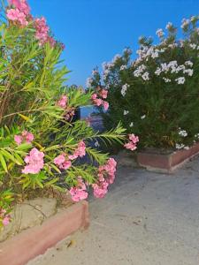 Cala di Seta Apartment - Rubino