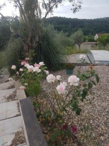 DOMAINE de la QUINTA FENIX- Quarto Olivia