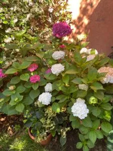 Tuscany Location - Marta