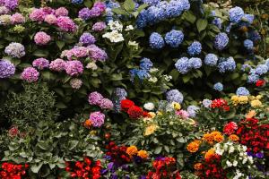 Pensjonat Leśny Dworek SPA & Garden Uzdrowisko wśród Natury