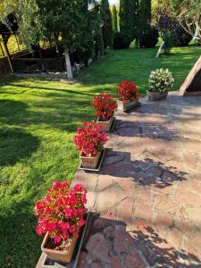 Guest House Beli Vit