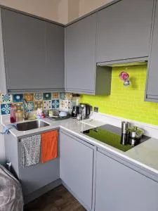 Stylish and spacious new flat - Havering