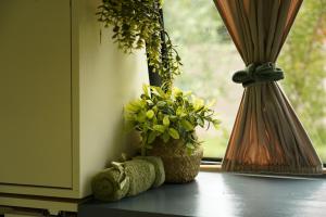 Montenegro Camper VOYAGER