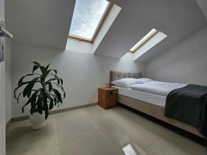 LEMA Pokoje Goscinne