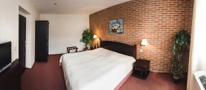 Double or Twin Room room in Hotel Purkmistr
