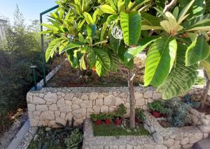 Apartments with a parking space Brela, Makarska - 18417 