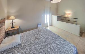 Maisons de vacances Amazing Home In Saint-Laurent-De-La-Cabrerisse : photos des chambres