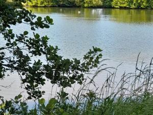 Appartements Appartement refait a neuf avec loggia et parking, a 2 pas de la plage et des commerces - FR-1-712-7 : photos des chambres