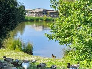 Appartements Appartement refait a neuf avec loggia et parking, a 2 pas de la plage et des commerces - FR-1-712-7 : photos des chambres