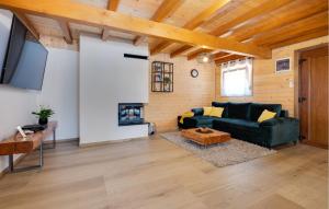 Nice Home In Gornje Plavnice With Wifi