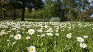 Bring your own tent or campervan - Zítsa