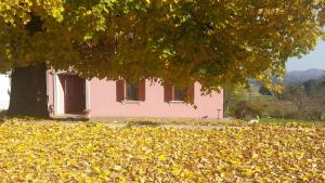 Merkež Guest House