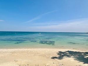 Saint-Pierre-Quiberon - Beau T2 - 34m² - Plage - Parking - Animal Admis - FR-1-478-295