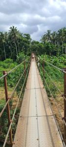 Kolamba Gedara green apartment