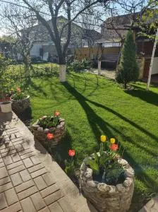 casa Olga 2 Mai - Hajilar