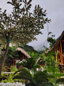 Bamboo Homestay