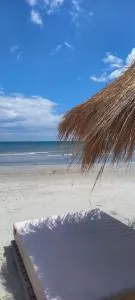 Sea Ray Studio - Tashaul