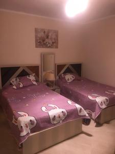 شاليه للإيجار بقريه اكوا فيو الساحل الشمالي