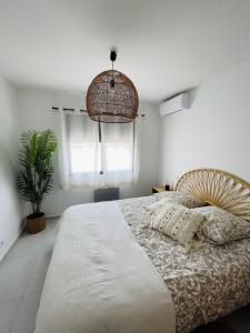 Maisons de vacances L’Oliveraie : photos des chambres