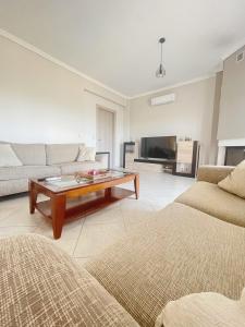 Jacques Boutique Suite