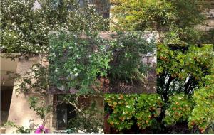 Chalet di campagna - da Aurora img11