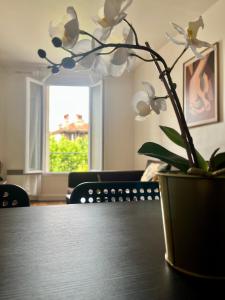 Appartements Manaca F2 - Le Raincy Centre Ville-Paris : photos des chambres