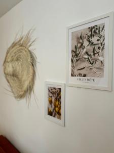 Casa Una - Hypercentre proche gare SNCF et Port