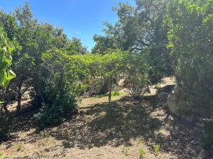 Villas Villa de luxe surplombant la mer, piscine suspendue : photos des chambres