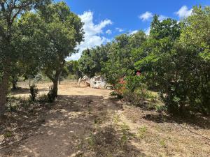 Villas Villa de luxe surplombant la mer, piscine suspendue : photos des chambres