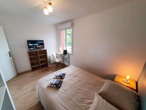 Appartements LE PROVENCE I Neuf I 2 chambres I Proche Mer I Wifi haut debit : photos des chambres