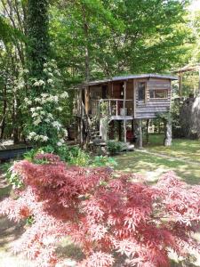 B&B / Chambres d'hotes La cabane de l'oiseau : photos des chambres