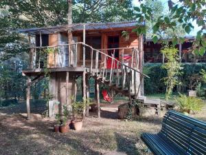B&B / Chambres d'hotes La cabane de l'oiseau : photos des chambres