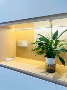 Nature Retreat- căn hộ nghỉ dưỡng khoáng nóng