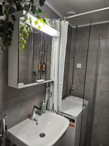 Rauma Canal Apartment