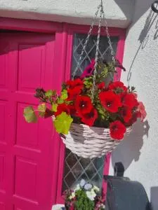The Pink Door - Tawnaghmore