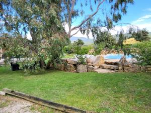 Maisons de vacances Maison familiale avec piscine L Eucalyptus : photos des chambres