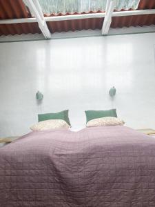 Camønogaarden B&B, darksky cabins and events