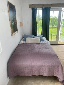 Camønogaarden B&B, darksky cabins and events