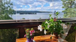 3-bedroom lake view and near center apartment with sauna